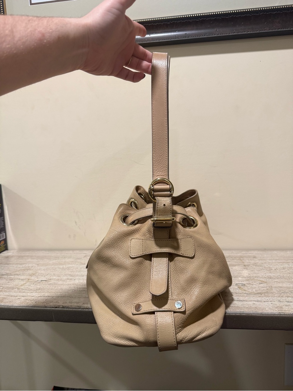 Jimmy Choo Beige Ramona Leather Shoulder Bag with Gold Hardware - Picture 5 of 16